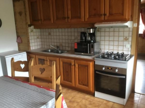Appartement 3 pièces à Châtel, 6 pers, proche télécabine, balcon exposé sud/ouest - FR-1-676-49